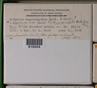 Image Associated With the Occurence